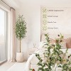 5/6/7 FT Artificial Olive Tree, Realistic Natural Wood Trunk, Plant with White Flower Pot and Green Fake Moss Outdoor Tree for Home Porch Decoration - 4 of 4