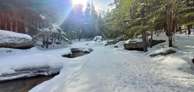 Guest review image 5 of 5, zoom in