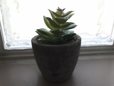 Guest review image 1 of 2, zoom in