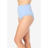 Comfort Choice Women's Plus Size  3-Pack Comfort Leg Brief - 4 of 4