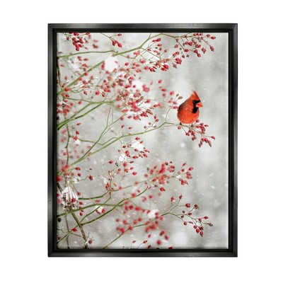 Stupell Industries Cardinal Seasonal Holly Berries Framed Floater Canvas Wall Art