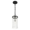 Livex Lighting Elizabeth 1 - Light Pendant in  Black - 4 of 4