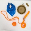 Collapsible Pet Bowl with Clip – Compact, Reusable and Easy to Clean - 4 of 4
