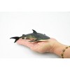 Collectible Wildlife Gifts | Shark, Tiger Shark, Museum Quality, Hand Painted, Rubber Fish, Realistic Toy Figure, Gift,         6"      CH282 BB126 - 2 of 4