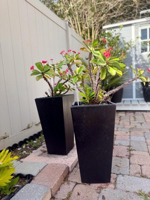 Guest review image 3 of 4, zoom in