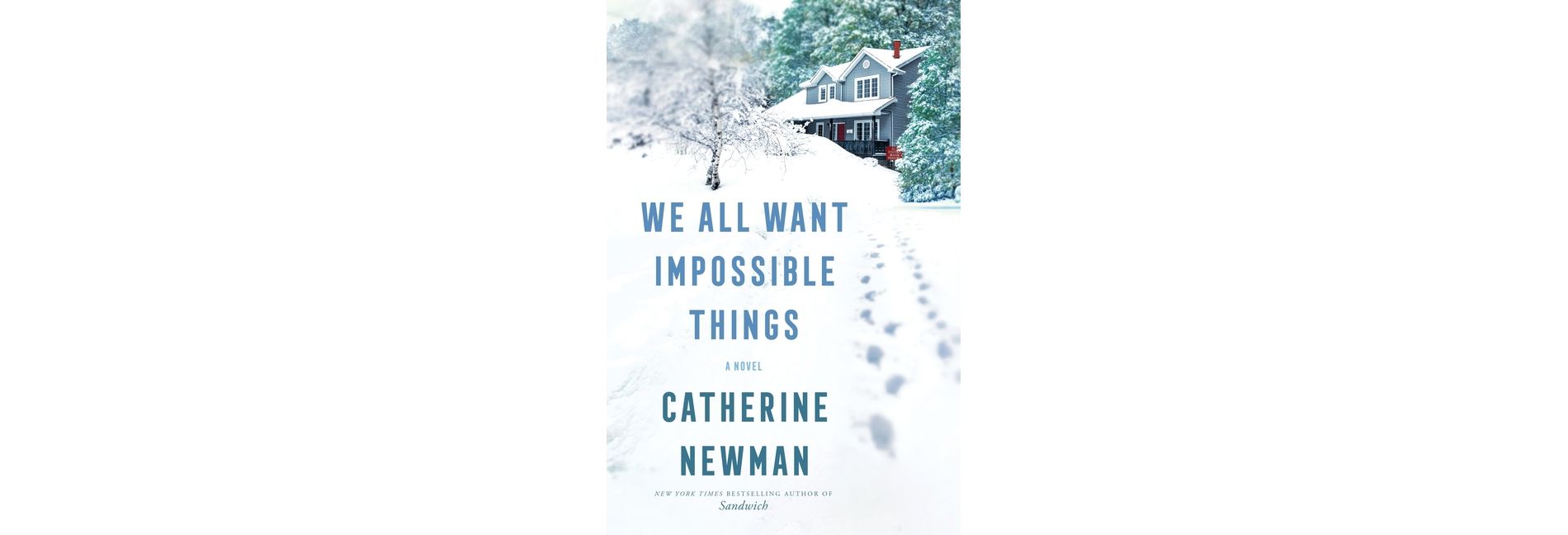 We All Want Impossible Things - by  Catherine Newman (Paperback)