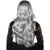 Underwraps Costumes Silver Black Ombre Adult Costume Wig - 2 of 2