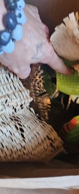 Guest review image 6 of 6, zoom in