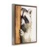 Stupell Industries Peering Raccoon Watercolor Floating Frame Canvas Art, Brown, 17" x 21" - 2 of 4