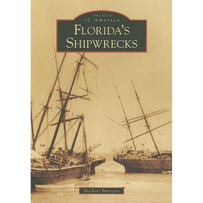 Florida's Shipwrecks - by Michael Barnette (Paperback)