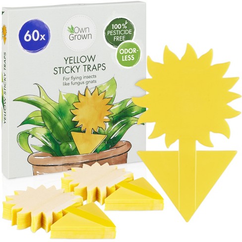 Owngrown Sticky Fly Traps For Indoors, Yellow 60pcs : Target