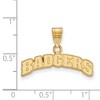 Black Bow Jewelry 10k Yellow Gold Wisconsin Badgers NCAA Medium Pendant - 2 of 3