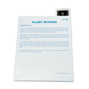 Supertek® Microslide, Plant Mitosis, 35mm - 1 of 2