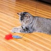 Pavilion Gift Company - Mouse - 18" Cat Teaser Wand - Pet Toy - 2 of 4
