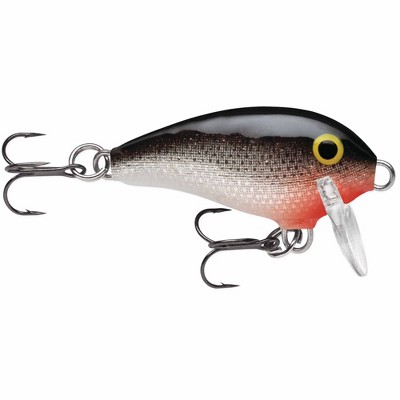 Rapala Mini Fat Rap, Fishing Lure : Target