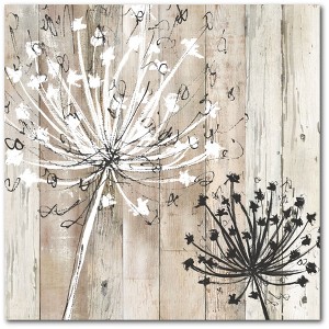 Courtside Market Farmhouse Fluff 16x16 Gallery-Wrapped Canvas - 1 of 4