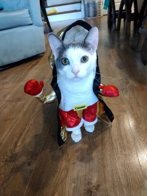 Guest review image 1 of 1, zoom in