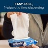 Cottonelle Flushable Wet Wipes - 4 of 4