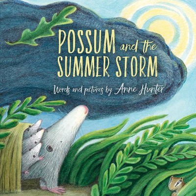 Possum and the Summer Storm - by  Anne Hunter (Hardcover)