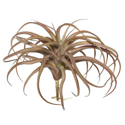 Artificial Tillandsia Pick (10.5") Red - Vickerman