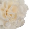 Vickerman 1-3" Natural Botanicals Assorted Natural Dried Sola Flower Head - 2 of 3