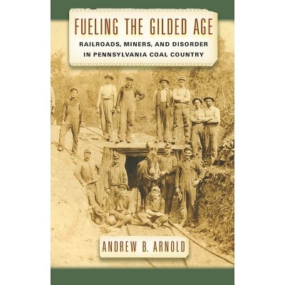 Fueling the Gilded Age - (Culture, Labor, History) by  Andrew B Arnold (Hardcover)