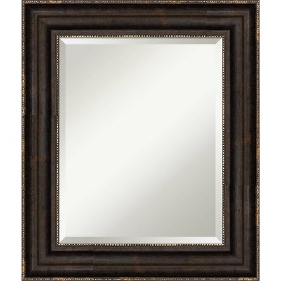 22" x 26" Beveled Stately Bronze Wall Mirror - Amanti Art: Rectangular, Polystyrene Frame, No Assembly Required