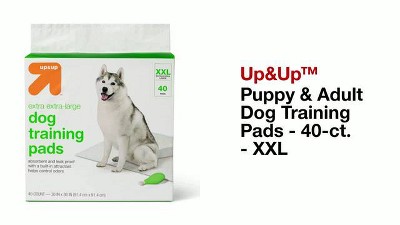 Target dog shop training pads