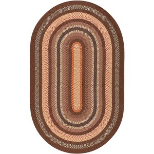 Braided BRD313 Machine Washable UV & Stain Resistant Non-Shedding Hand Woven Indoor Rugs - Safavieh - 1 of 4