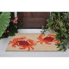 Liora Manne Frontporch Coastal Indoor/Outdoor Rug.. - 3 of 4