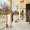 Whizmax Artificial Bougainvillea Tree, Tall Potted Fake Trees, Faux Tree with Pink Plum Bossom for Outdoor Indoor Home Decor - 4 of 4