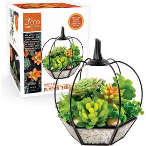 D'Eco Glass Pumpkin Plant Terrarium (7x7x8) - Indoor & Outdoor Black Trimmed Plant Display - Fall Decorations for Home - Great Decor for The Holidays - 1 of 3