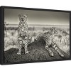 Amanti Art Two Cheetahs watching out by Henrike Scheid Canvas Wall Art Print Framed 23-in. x 16-in. - 2 of 4