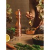 Peugeot | Paris Chef u'Select Salt Mill, Copper, 22 cm - 9 in - 4 of 4