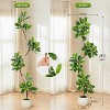 Fiddle Leaf Fig Tree Artificial Indoor, Tall Faux Rubber Tree with Sphere Planter, Artificial Plants with Moss for Home Decor Office Living Room - 2 of 4
