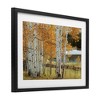 Stupell Industries Autumnal Birch Beauty Framed Print Under Glass - 2 of 4