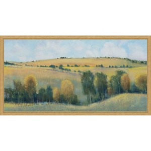 Amanti Art Valley Field I by Tim Otoole Canvas Wall Art Print Framed 27-in. W x 14-in. H. - 1 of 4