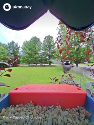 Guest review image 6 of 6, zoom in