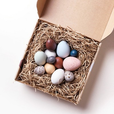 ACEPANO Dozen Bird Egg Box