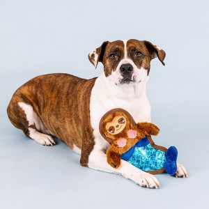 PetShop by Fringe Studio I'll Bring The Bubbles Durable Plush Dog Toy - 1 of 4