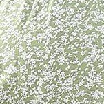 likegreen