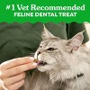 Greenies Savory Salmon Flavor Dental Cat Treats - 3 of 4