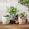 10.75"H Sullivans Mixed Botanical Orb Flourish, Multicolored - 3 of 3
