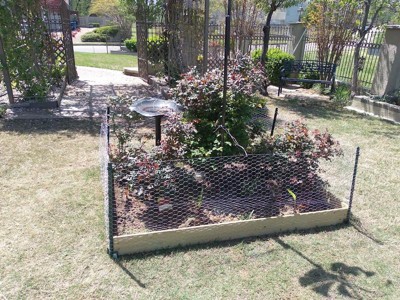 Guest review image 3 of 4, zoom in