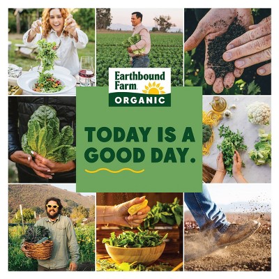 Earthbound Farm Fresh Organic Chopped Hearts of Romaine Lettuce - 10oz