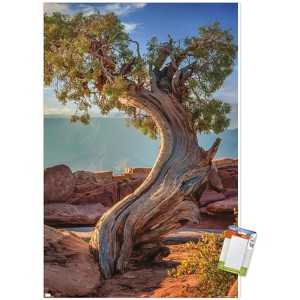 Trends International Beth Sheridan - Dead Horse Point Unframed Wall Poster Prints - 1 of 4