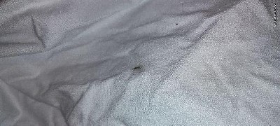 Guest review image 1 of 1, zoom in
