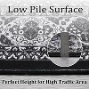 Nasitip Area Rugs,Washable Rugs Floor Carpet, Vintage Rugs for High Traffic Areas,  Non-Slip Rug for Dining Room Office Home Decor - 2 of 4