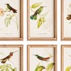 Plum & Post Hummingbirds In Blooms Study, Set Of 8 - Multicolor Prints - 2 of 4