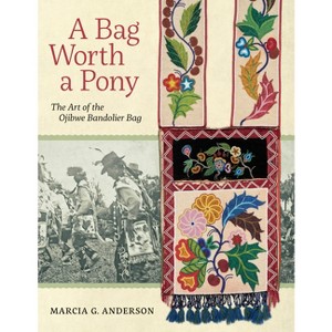 A Bag Worth a Pony - by  Marcia G Anderson (Paperback) - 1 of 1